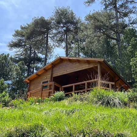 Cabana Garrote Gordo เซกูรา เดลา เซียร์รา ภายนอก รูปภาพ