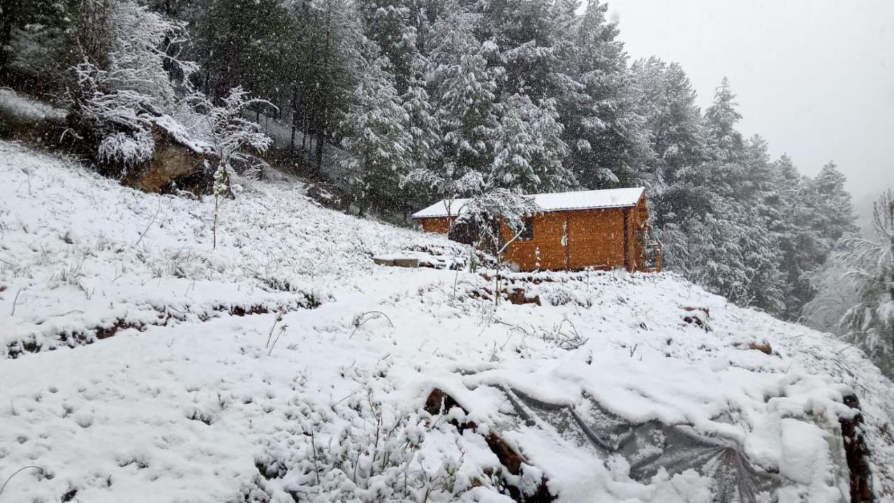 Cabana Garrote Gordo เซกูรา เดลา เซียร์รา ภายนอก รูปภาพ